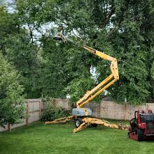 Best Utility Line Clearance  in Hopelawn, NJ